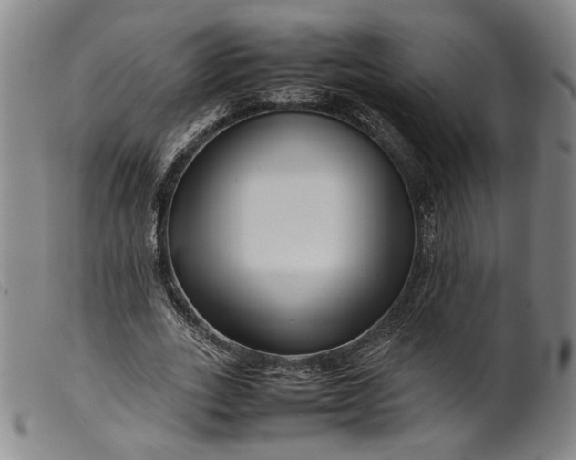 X0000099460727200805231805