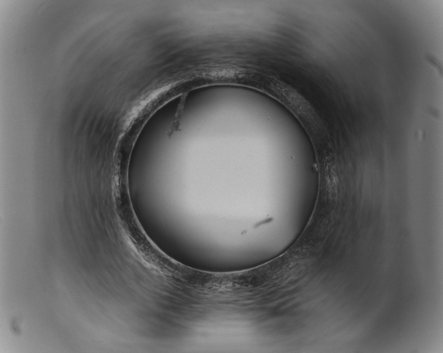 X0000099460728200805231806