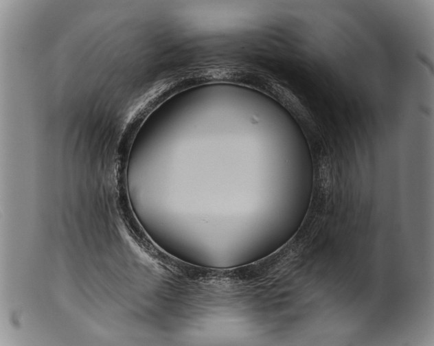 X0000099460730200805231806