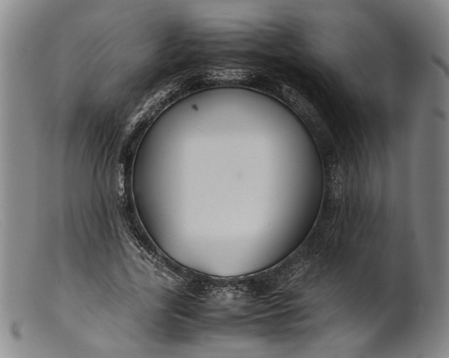 X0000099460731200805231806