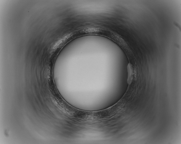 X0000099460732200805231806