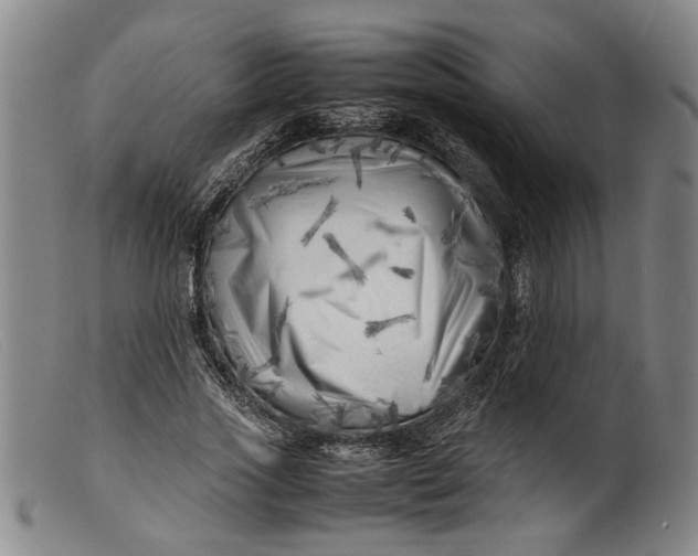 X0000099460733200805231806