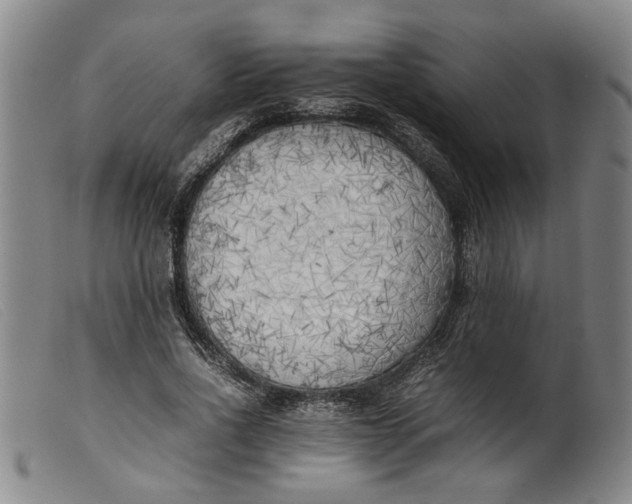 X0000099460734200805231806