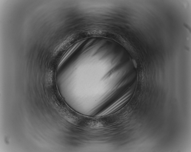 X0000099460735200805231806