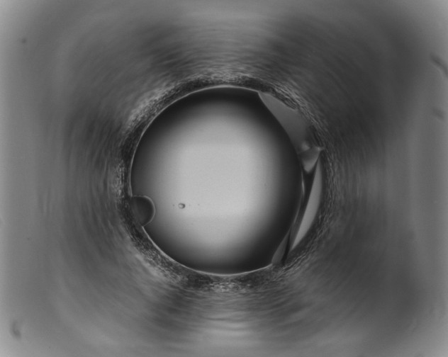 X0000099460736200805231806