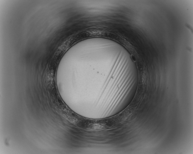 X0000099460737200805231806