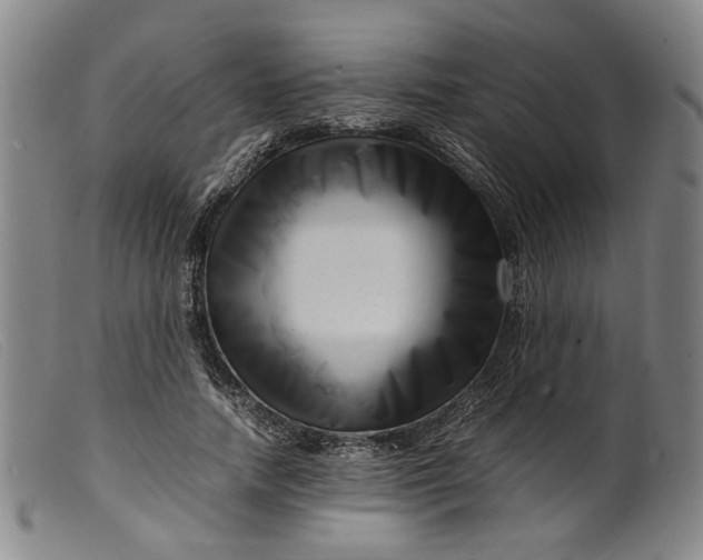 X0000099460738200805231806