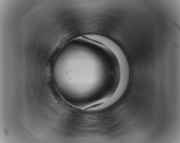 X0000099460739200805231806