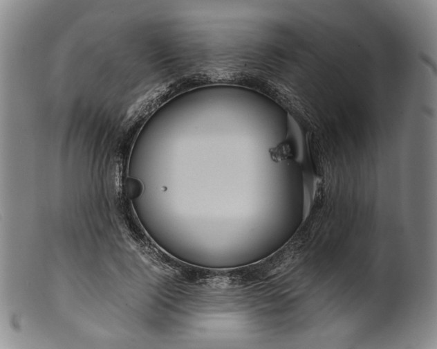 X0000099460740200805231806