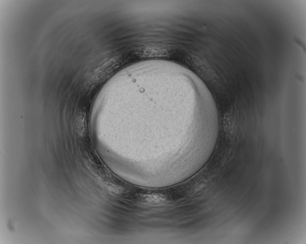 X0000099460741200805231806