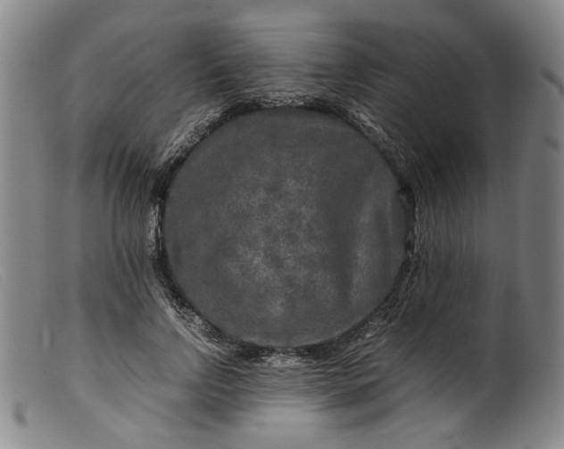 X0000099460742200805231806