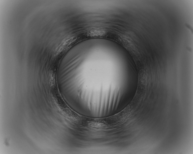 X0000099460743200805231806