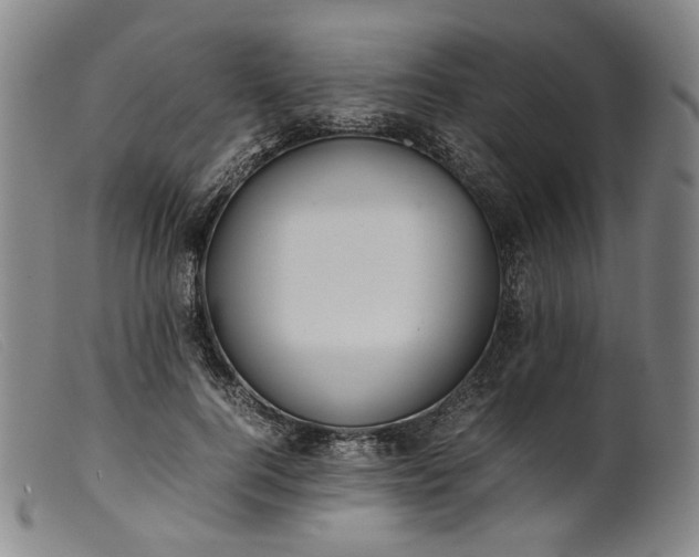 X0000099460744200805231806