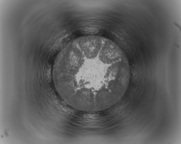 X0000099460745200805231806