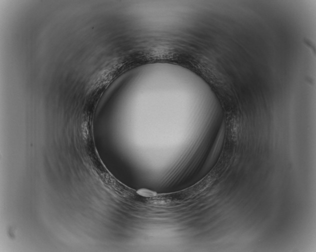 X0000099460746200805231806