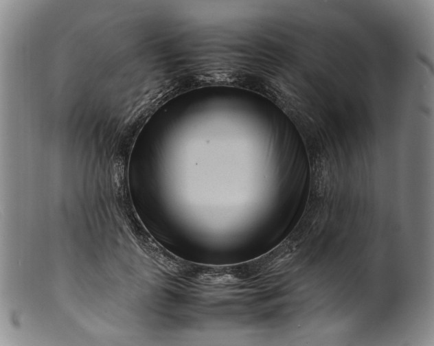 X0000099460747200805231806