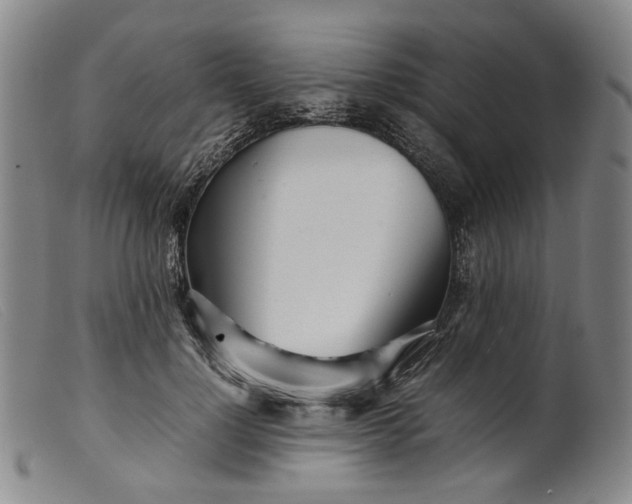 X0000099460748200805231806