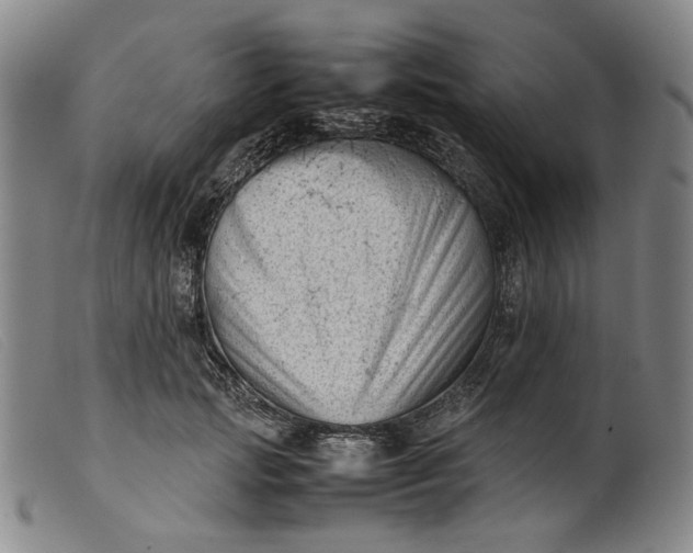 X0000099460749200805231806