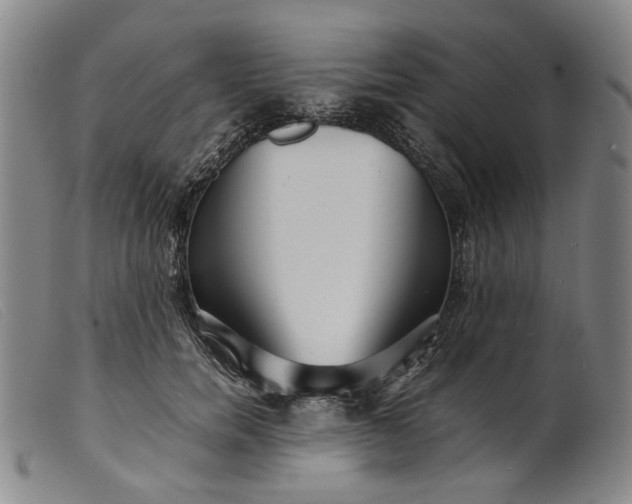 X0000099460750200805231806