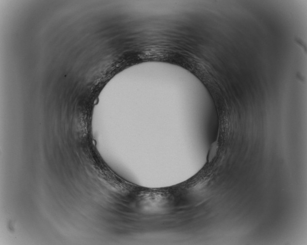 X0000099460751200805231806