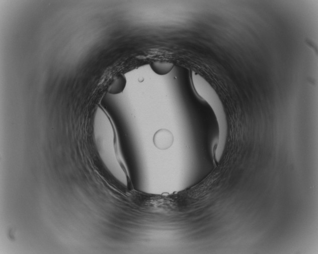 X0000099460752200805231806