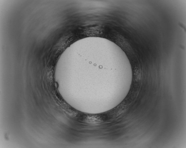 X0000099460753200805231806