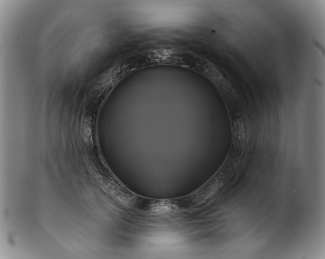 X0000099460754200805231806