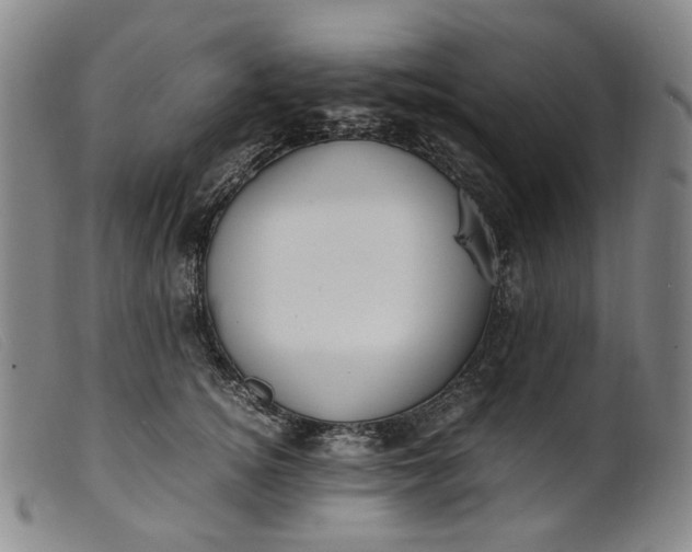 X0000099460756200805231806