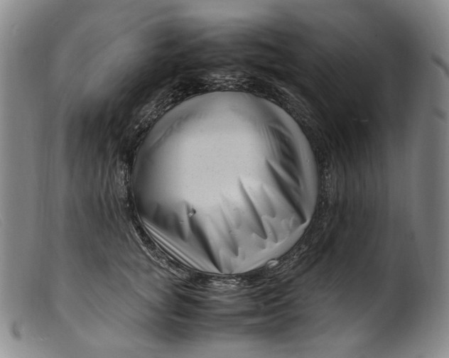 X0000099460757200805231806