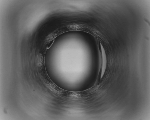 X0000099460760200805231806