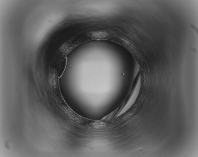 X0000099460762200805231806