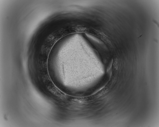 X0000099460763200805231806