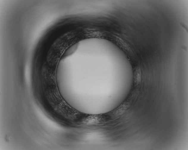 X0000099460764200805231806