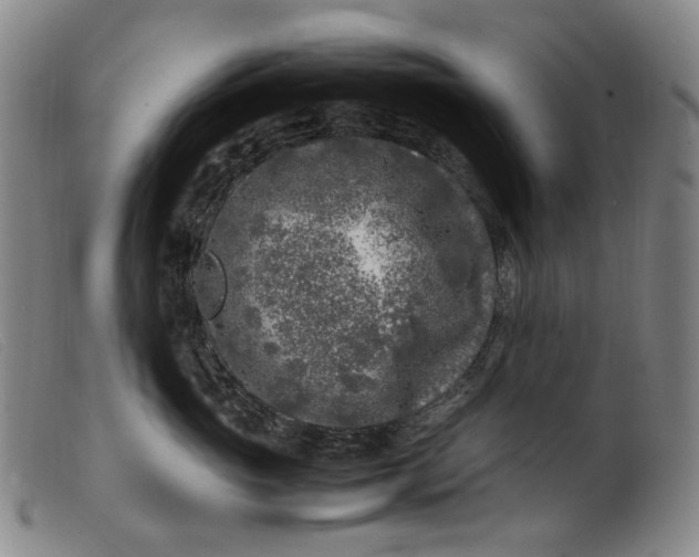 X0000099460765200805231806