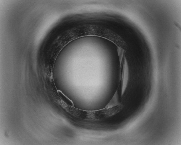 X0000099460766200805231806