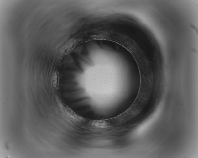 X0000099460767200805231806