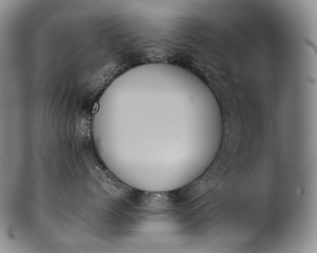 X0000099460768200805231806