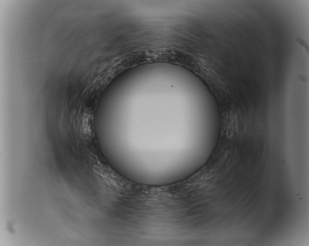 X0000099460770200805231805