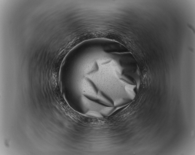 X0000099460772200805231805