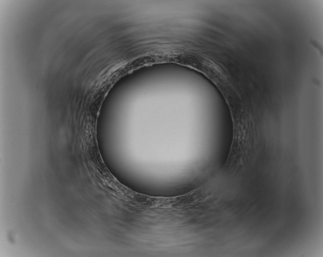 X0000099460773200805231805