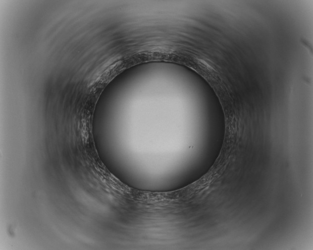 X0000099460774200805231805