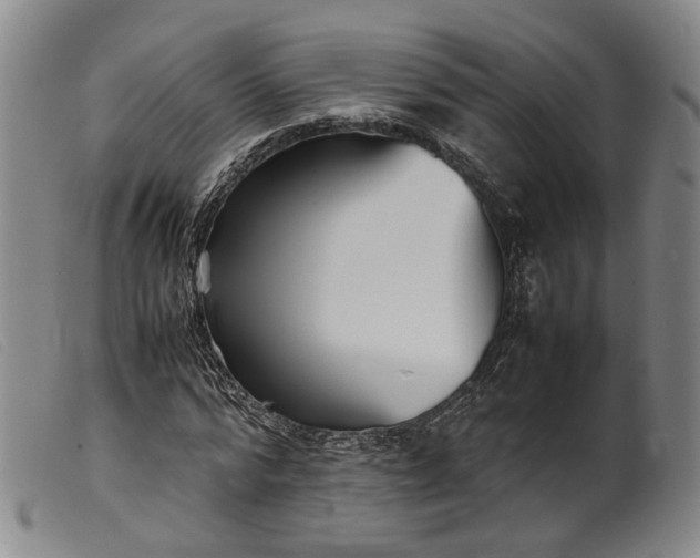 X0000099460776200805231805