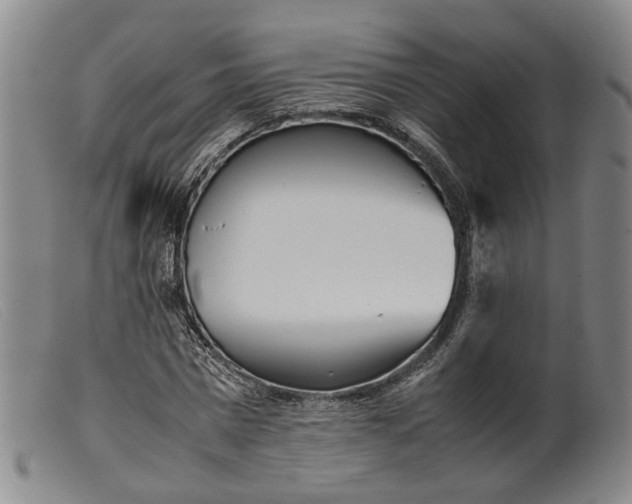 X0000099460777200805231805