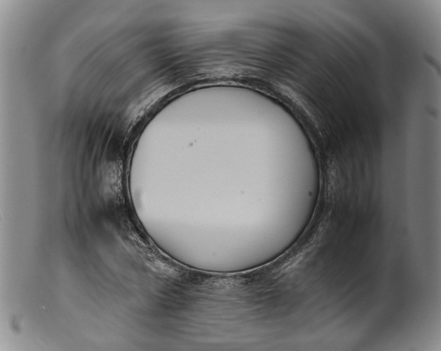 X0000099460778200805231805