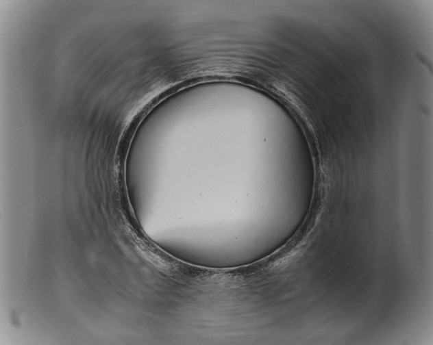 X0000099460779200805231805