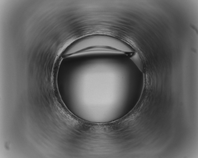 X0000099460780200805231805