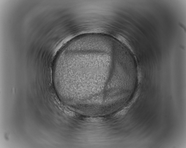 X0000099460781200805231805