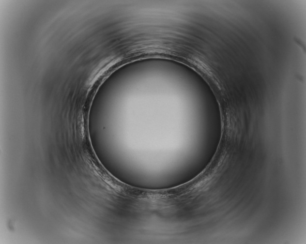 X0000099460782200805231805