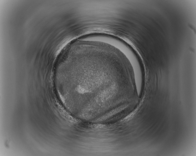 X0000099460783200805231805