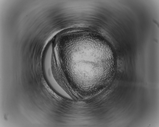 X0000099460784200805231805